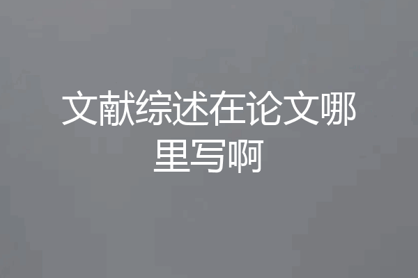 文献综述在论文哪里写啊