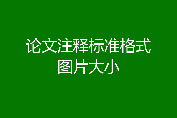 论文注释标准格式图片大小