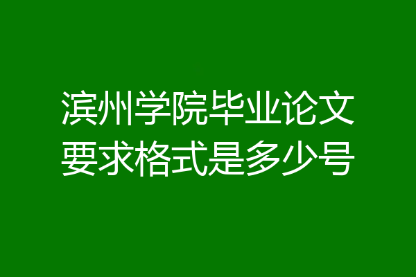 滨州学院毕业论文要求格式是多少号