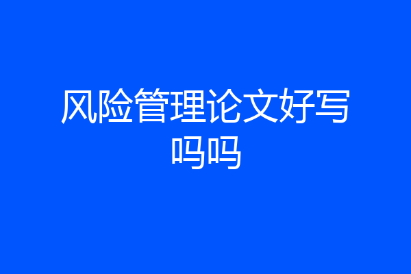 风险管理论文好写吗吗