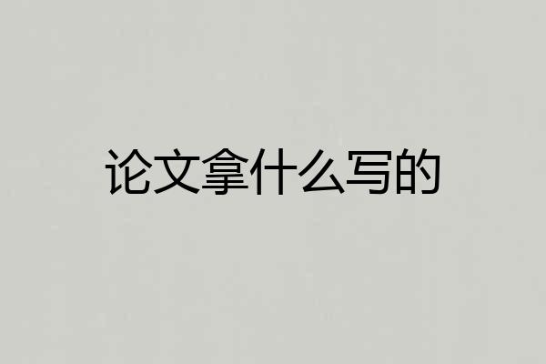 论文拿什么写的