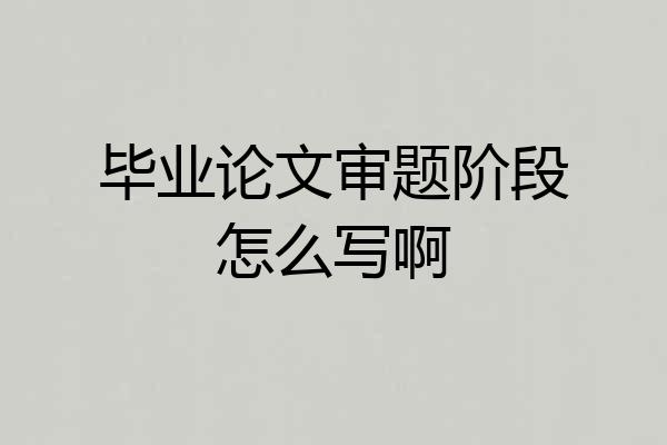 毕业论文审题阶段怎么写啊