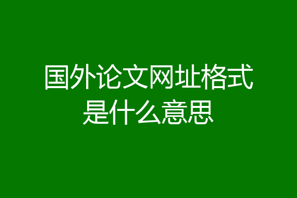 国外论文网址格式是什么意思