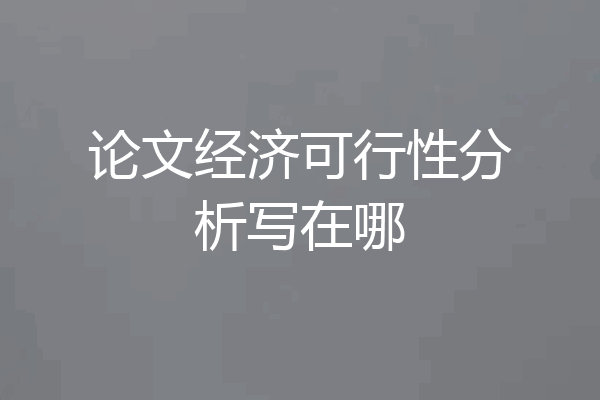 论文经济可行性分析写在哪