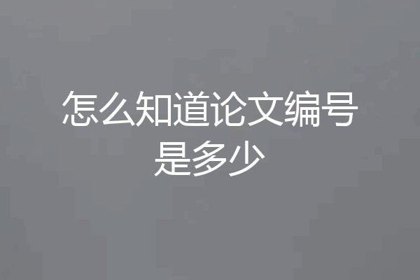 怎么知道论文编号是多少