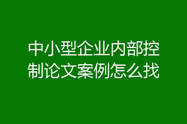 中小型企业内部控制论文案例怎么找