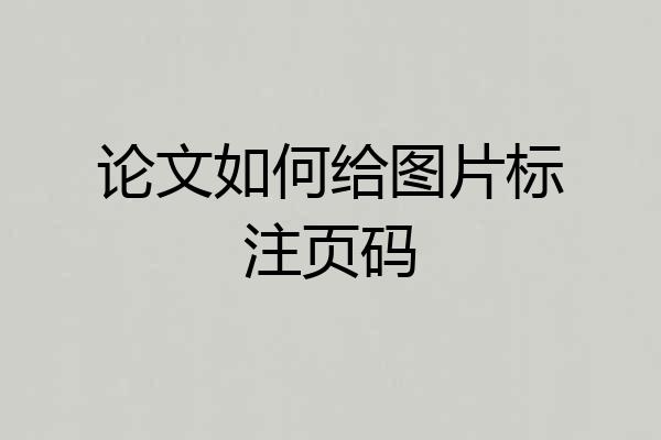 论文如何给图片标注页码