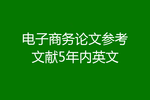 电子商务论文参考文献5年内英文