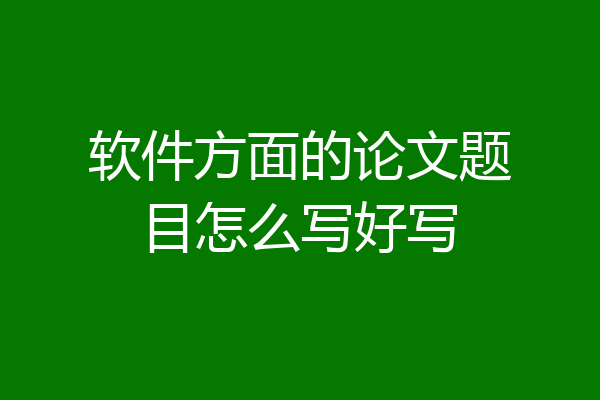 软件方面的论文题目怎么写好写