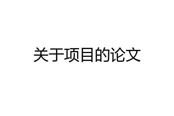 关于项目的论文
