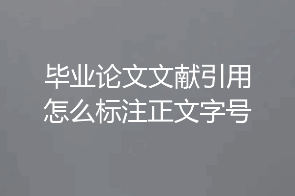 毕业论文文献引用怎么标注正文字号