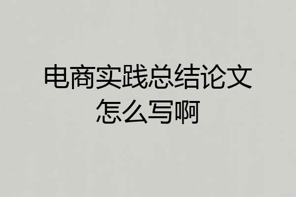 电商实践总结论文怎么写啊