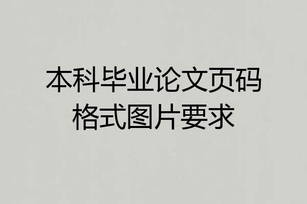 本科毕业论文页码格式图片要求