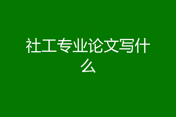 社工专业论文写什么