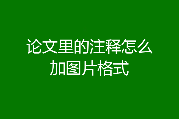 论文里的注释怎么加图片格式