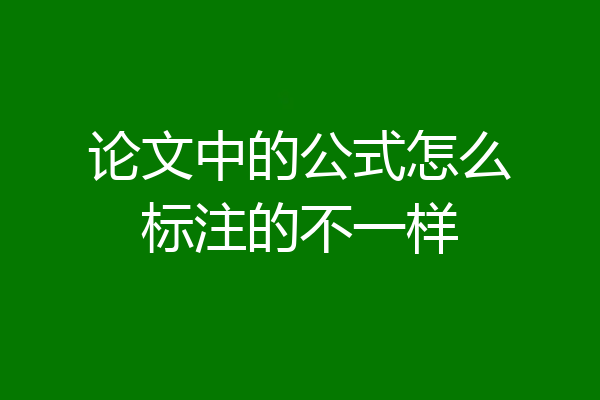 论文中的公式怎么标注的不一样