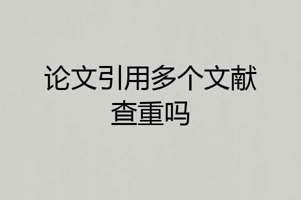论文引用多个文献查重吗