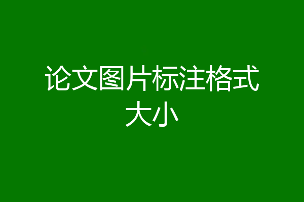 论文图片标注格式大小