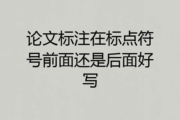 论文标注在标点符号前面还是后面好写