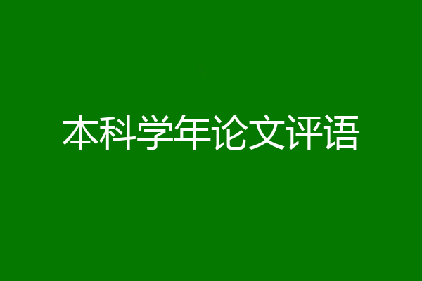 本科学年论文评语