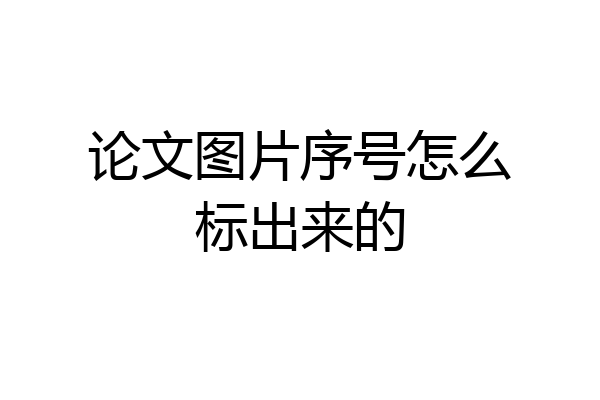 论文图片序号怎么标出来的