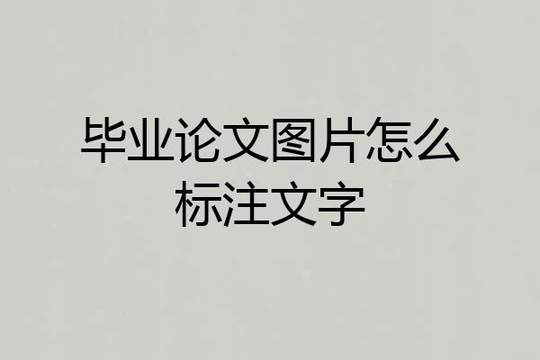 毕业论文图片怎么标注文字