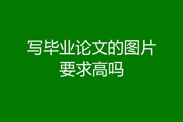 写毕业论文的图片要求高吗