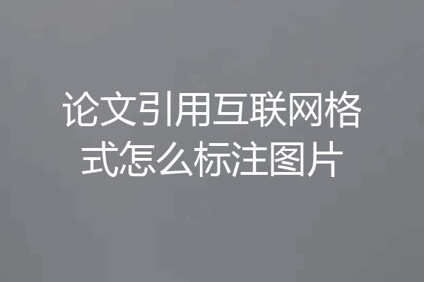 论文引用互联网格式怎么标注图片