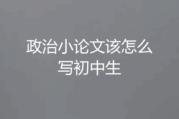 政治小论文该怎么写初中生
