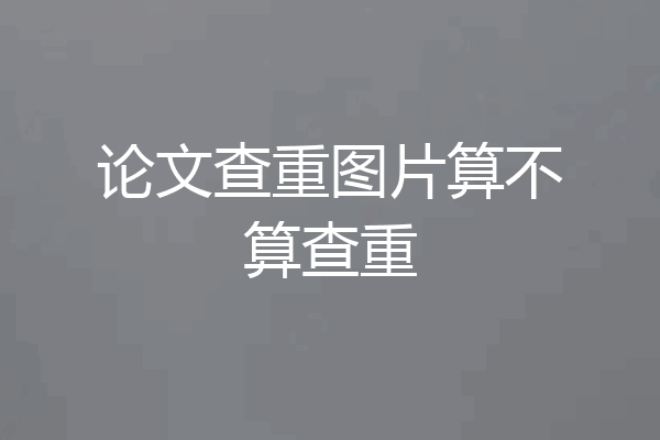 论文查重图片算不算查重