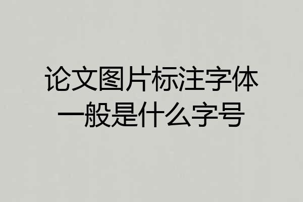 论文图片标注字体一般是什么字号