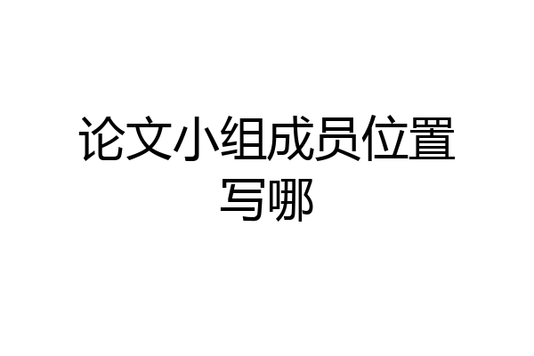 论文小组成员位置写哪