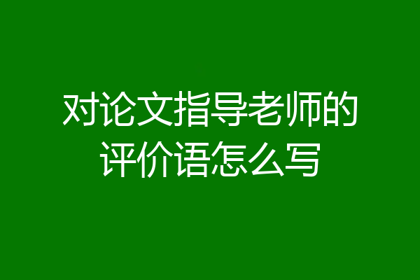 对论文指导老师的评价语怎么写