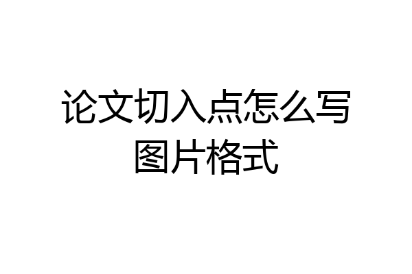 论文切入点怎么写图片格式