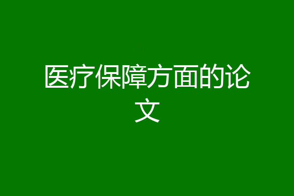 医疗保障方面的论文