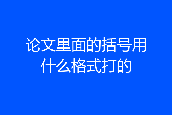 论文里面的括号用什么格式打的