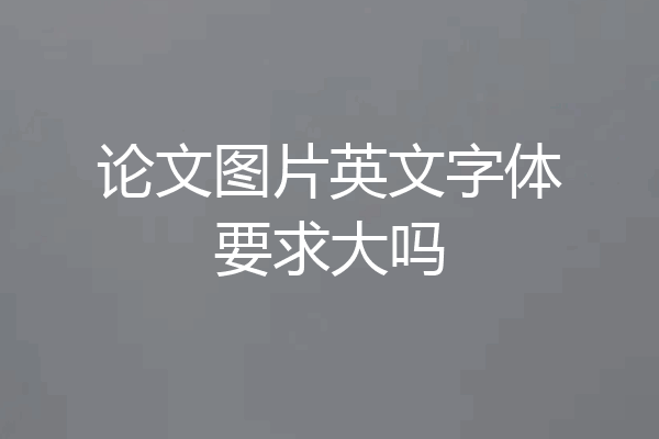 论文图片英文字体要求大吗