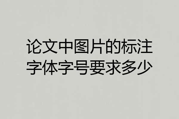 论文中图片的标注字体字号要求多少