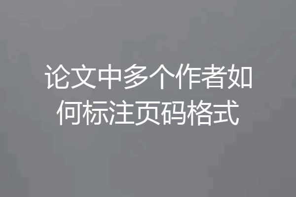 论文中多个作者如何标注页码格式