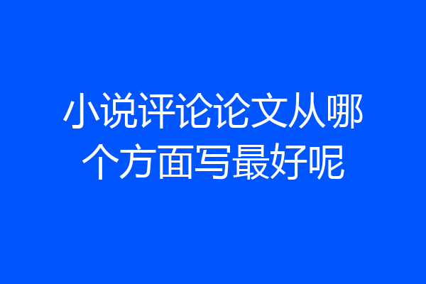 小说评论论文从哪个方面写最好呢