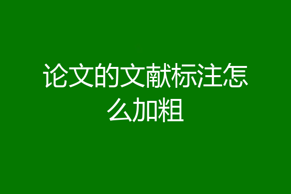 论文的文献标注怎么加粗