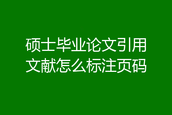 硕士毕业论文引用文献怎么标注页码
