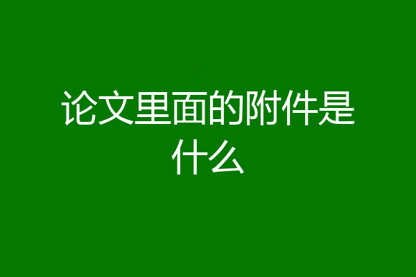 论文里面的附件是什么