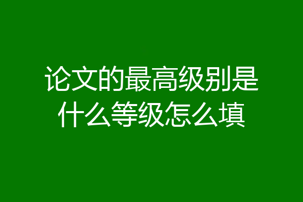 论文的最高级别是什么等级怎么填