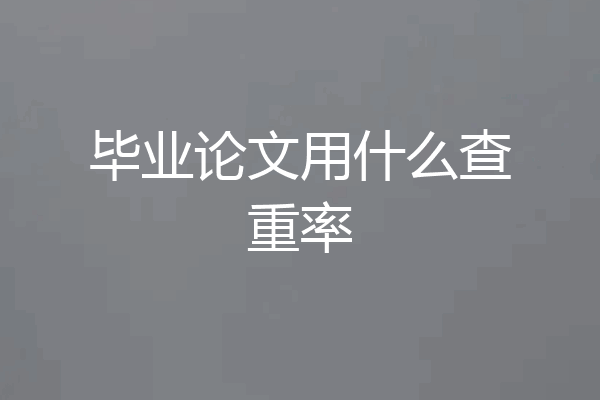毕业论文用什么查重率