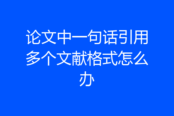论文中一句话引用多个文献格式怎么办