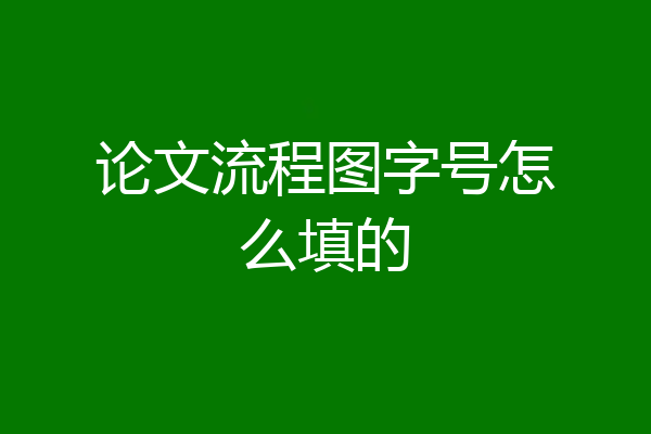 论文流程图字号怎么填的