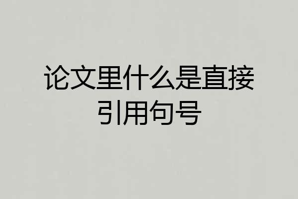 论文里什么是直接引用句号