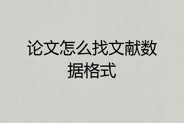 论文怎么找文献数据格式