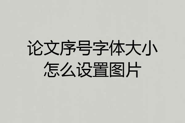 论文序号字体大小怎么设置图片